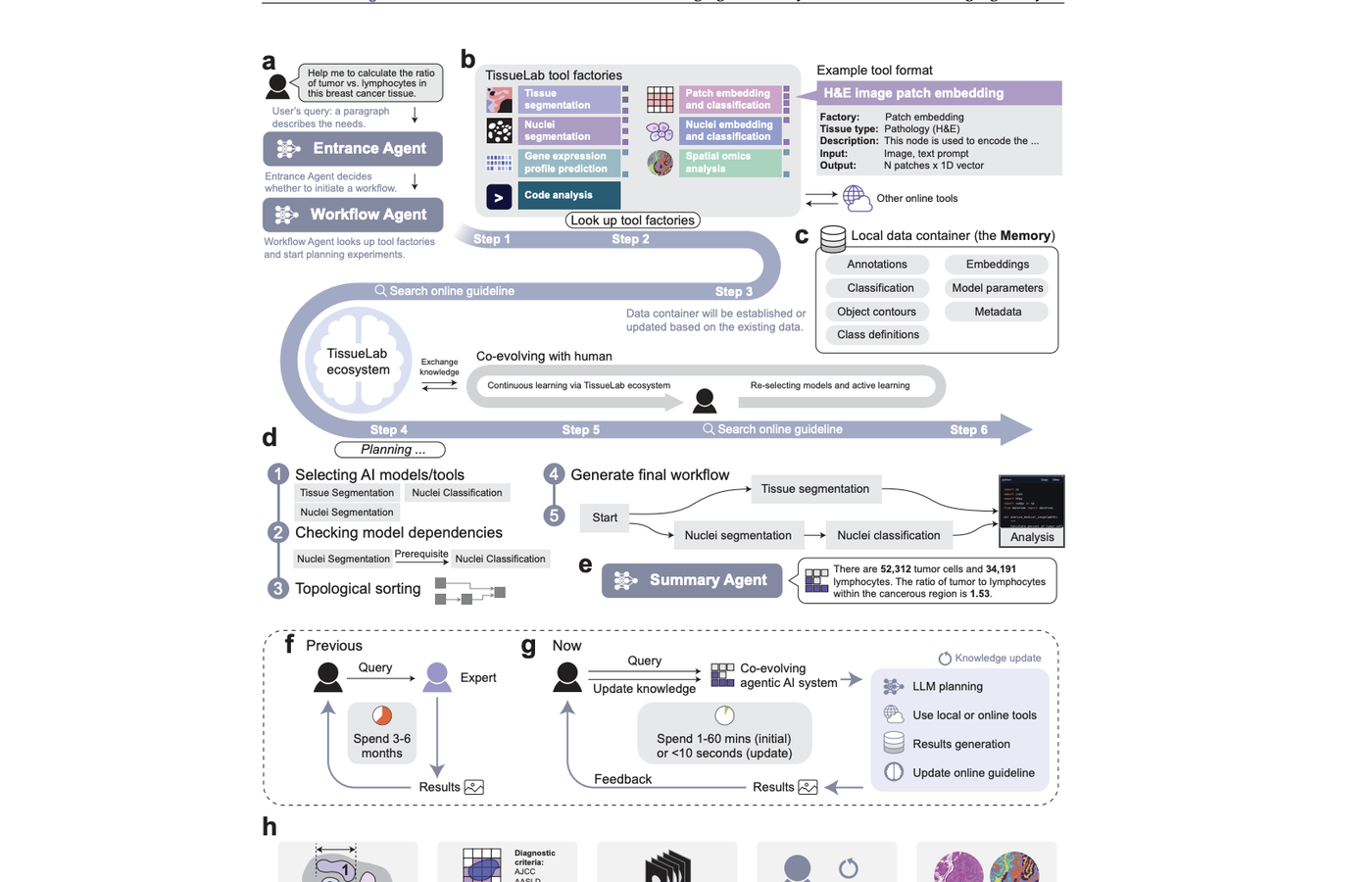 Agentic medical imaging workflow diagram
